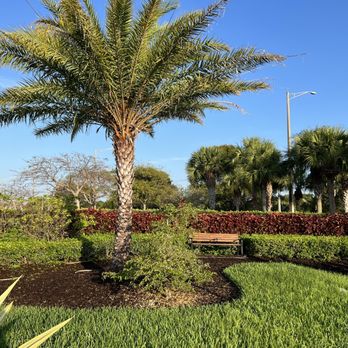 Pastor Willie James Ford Sr. Linear Park - Parks Near Me - Deerfield Beach, Florida Pastor Willie James Ford Sr. Linear Park - Parks Near Me - Deerfield Beach, Florida