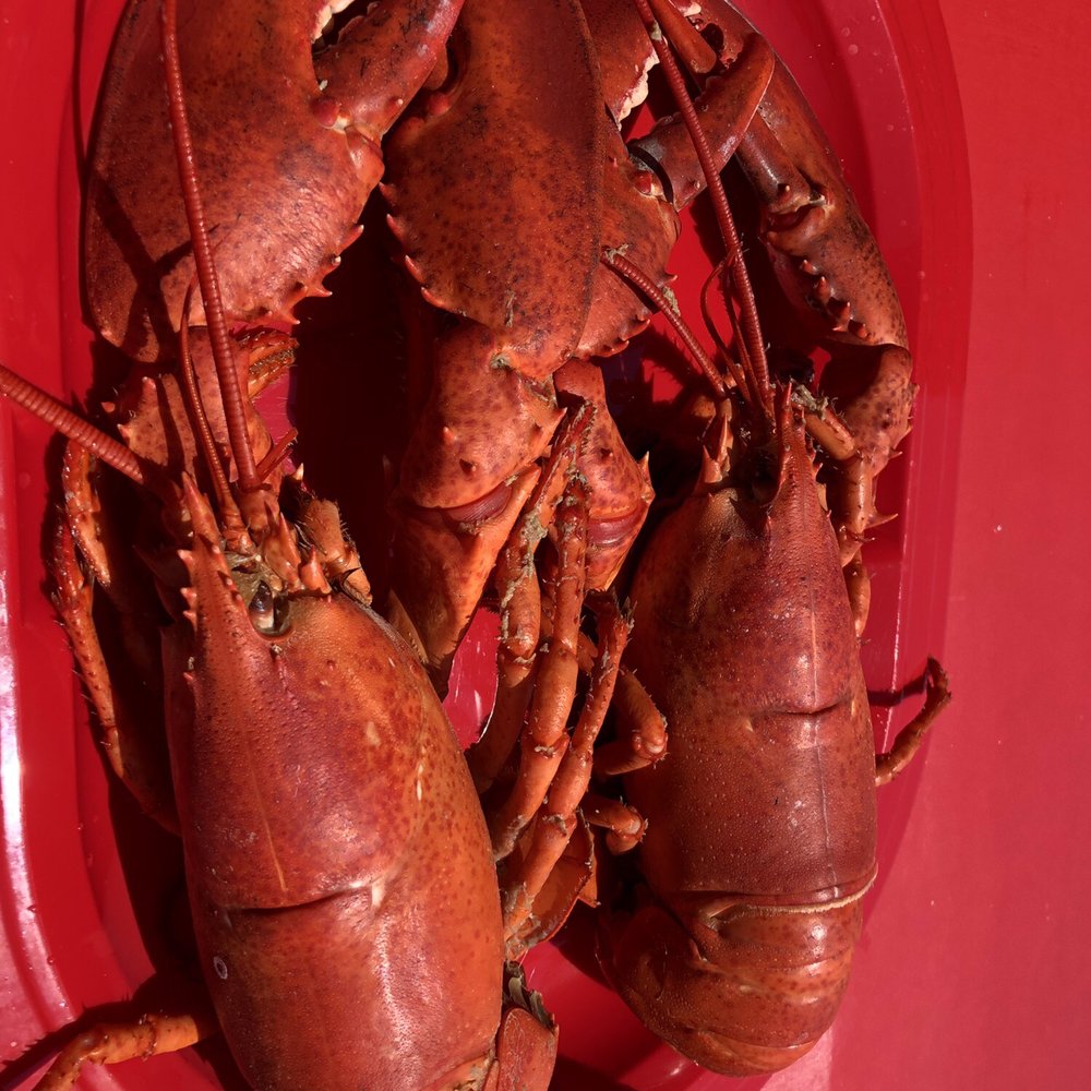 Erica's Seafood - Lobster! - Seafood Near Me - Harpswell, Maine
