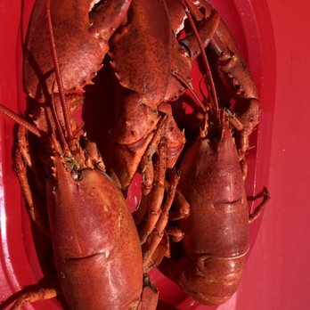 Erica's Seafood - Lobster! - Seafood Near Me - Harpswell, Maine