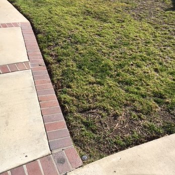 Turfora - This was before my lawn was replaced. - Artificial Turf Near Me Turfora - This was before my lawn was replaced. - Artificial Turf Near Me