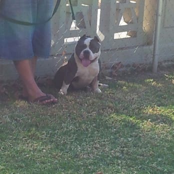 Carlson Dog Park - awesome dog. - Dog Parks Near Me - Riverside, California