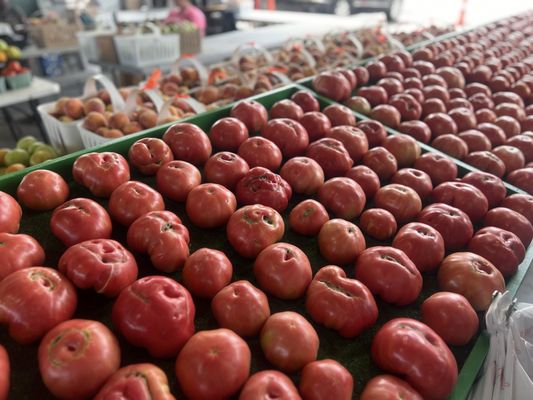 State Farmers Market by null