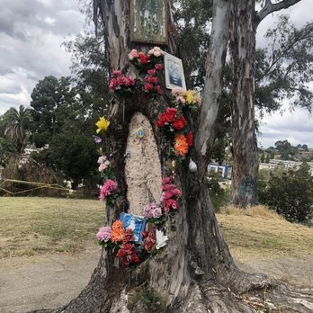 Lincoln Park - Jesus/ Saint tree - Parks Near Me - Los Angeles, California Lincoln Park - Jesus/ Saint tree - Parks Near Me - Los Angeles, California