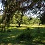 Bridgmans' Farm