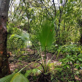 Van Smith Park - Parks Near Me - South Miami, Florida