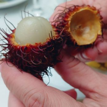 The Brownstone - Ummm...yeap I was mystified with this crazy looking thing called rambutan lychee. Tasted good though. - Venues & Event Spaces Near Me - Paterson, New Jersey The Brownstone - Ummm...yeap I was mystified with this crazy looking thing called rambutan lychee. Tasted good though. - Venues & Event Spaces Near Me - Paterson, New Jersey