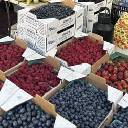 Sidhu Farms