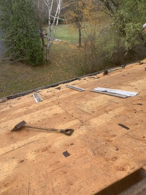 Damage and in need of help - Replaced section of roof because of tree damage Damage and in need of help - Replaced section of roof because of tree damage
