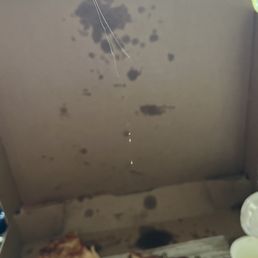 Hair that I pulled out of my pizza. Hair that I pulled out of my pizza.