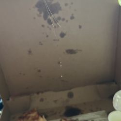 Domino's Pizza - Hair that I pulled out of my pizza.