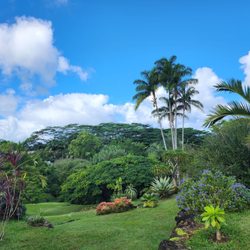 Princeville Botanical Gardens - Walking tour of Princeville Botanical Garden.