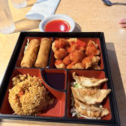New Garden Asian Cuisine - Food was served very hot and fresh. The noodles were really good, and loved everything we got. Bento box