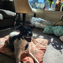 Soleil Lofts Apartments - My girl loving the natural sunlight that filters in through the huge window!