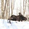 Russian Jack Springs Park gift card