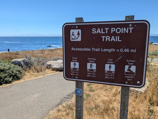 Salt Point State Park by null