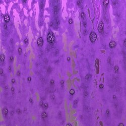 Alltown Fresh - Carwash