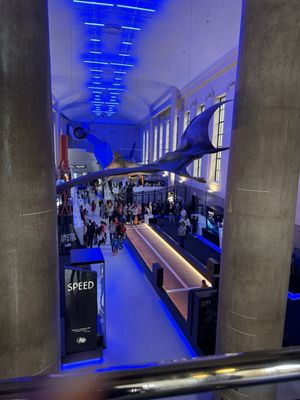 Science Museum of Virginia by null