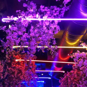 Lucky Robot Restaurant - Very cool ceiling/ambiance - Sushi Bars Near Me - Austin, Texas Lucky Robot Restaurant - Very cool ceiling/ambiance - Sushi Bars Near Me - Austin, Texas