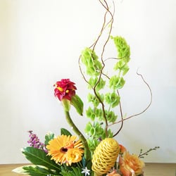 Acanthus Floral Art