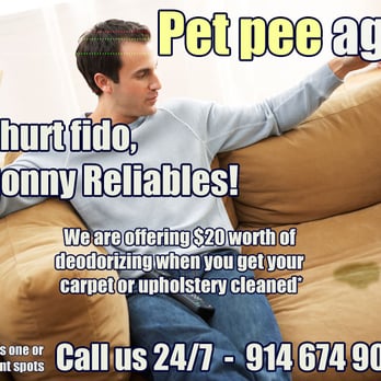 Ronny Reliables Cleaning Company - a man sitting on a couch with a dog - Carpet Cleaning Near Me - Elmsford, New York Ronny Reliables Cleaning Company - a man sitting on a couch with a dog - Carpet Cleaning Near Me - Elmsford, New York