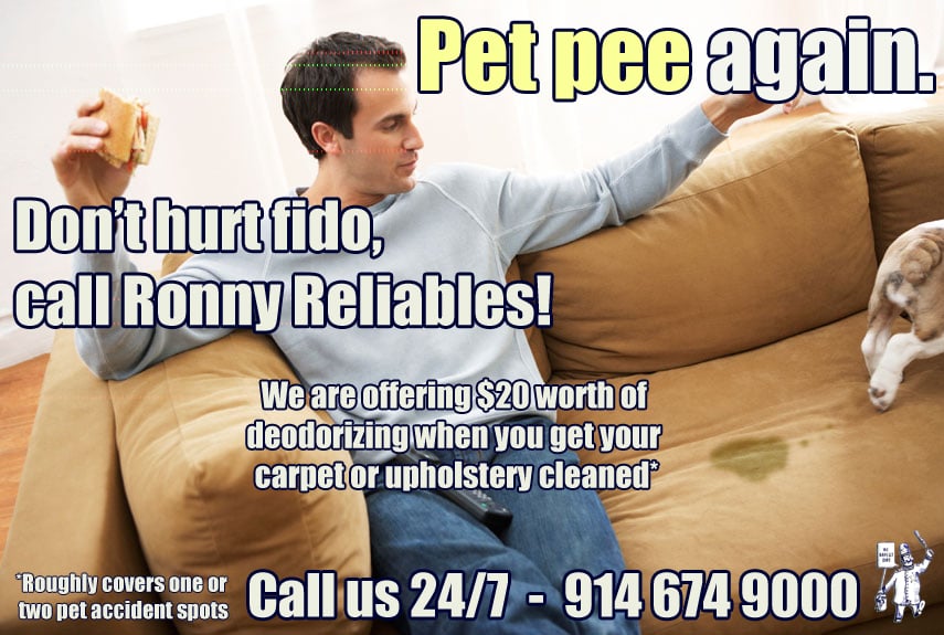 RONNY RELIABLES CLEANING COMPANY Updated August 2024 54 N Central