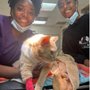 Kingdom Pet Hospital