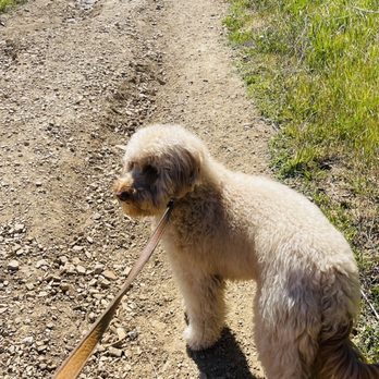 Mario DeCampos Trail - Loose gravel throughout trail. - Hiking Near Me