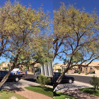 Arbor Care Tree Service - Before & After - Tree Services Near Me Arbor Care Tree Service - Before & After - Tree Services Near Me