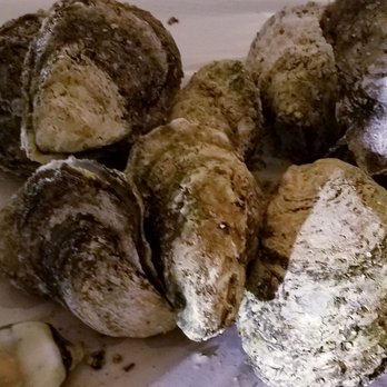Daniel Field Airport - Warm steamed oysters at the charity event at this airport. - Airports Near Me - Augusta, Georgia