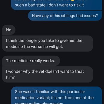Bellspurr Maine Coons - second text Tuesday - medication and passing - Pet Stores Near Me - San Antonio, Texas