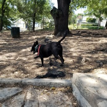 West Austin Park & Wading Pool - Dog Parks Near Me - Austin, Texas West Austin Park & Wading Pool - Dog Parks Near Me - Austin, Texas