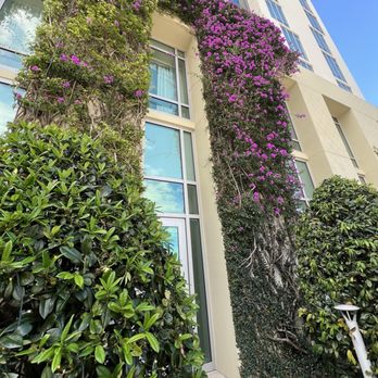 Hilton West Palm Beach - Hotels Near Me - West Palm Beach, Florida Hilton West Palm Beach - Hotels Near Me - West Palm Beach, Florida