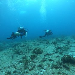 Carey Dive Center