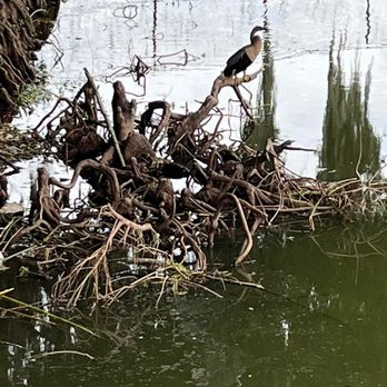 Tuscawilla Park - Parks Near Me - Ocala, Florida