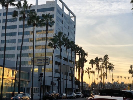 Mentor Language Institute - Hollywood by null