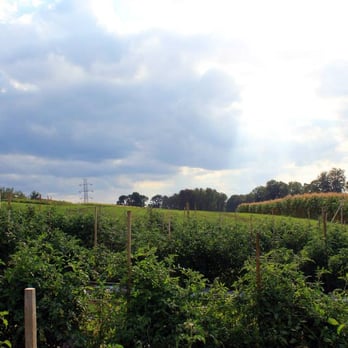 Riamede Farm - Pick Your Own Farms Near Me - Chester, New Jersey Riamede Farm - Pick Your Own Farms Near Me - Chester, New Jersey