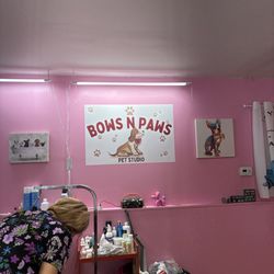 Bows N Paws Pet Studio