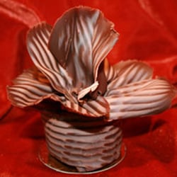 chocolatier - patissier Flandrin - le lady
