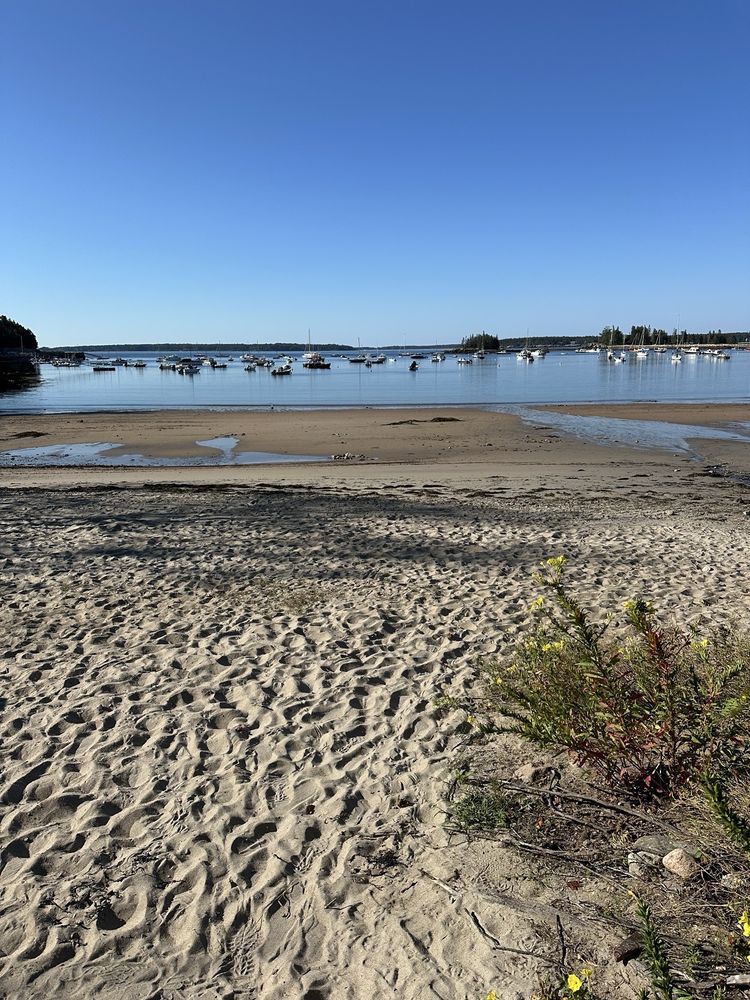 Seal Harbor Beach