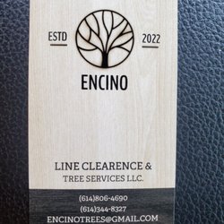 Encino Trees