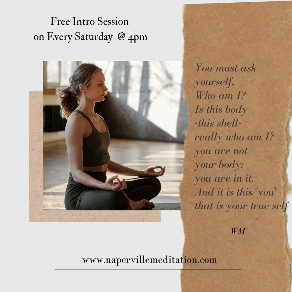 Naperville Meditation Logo