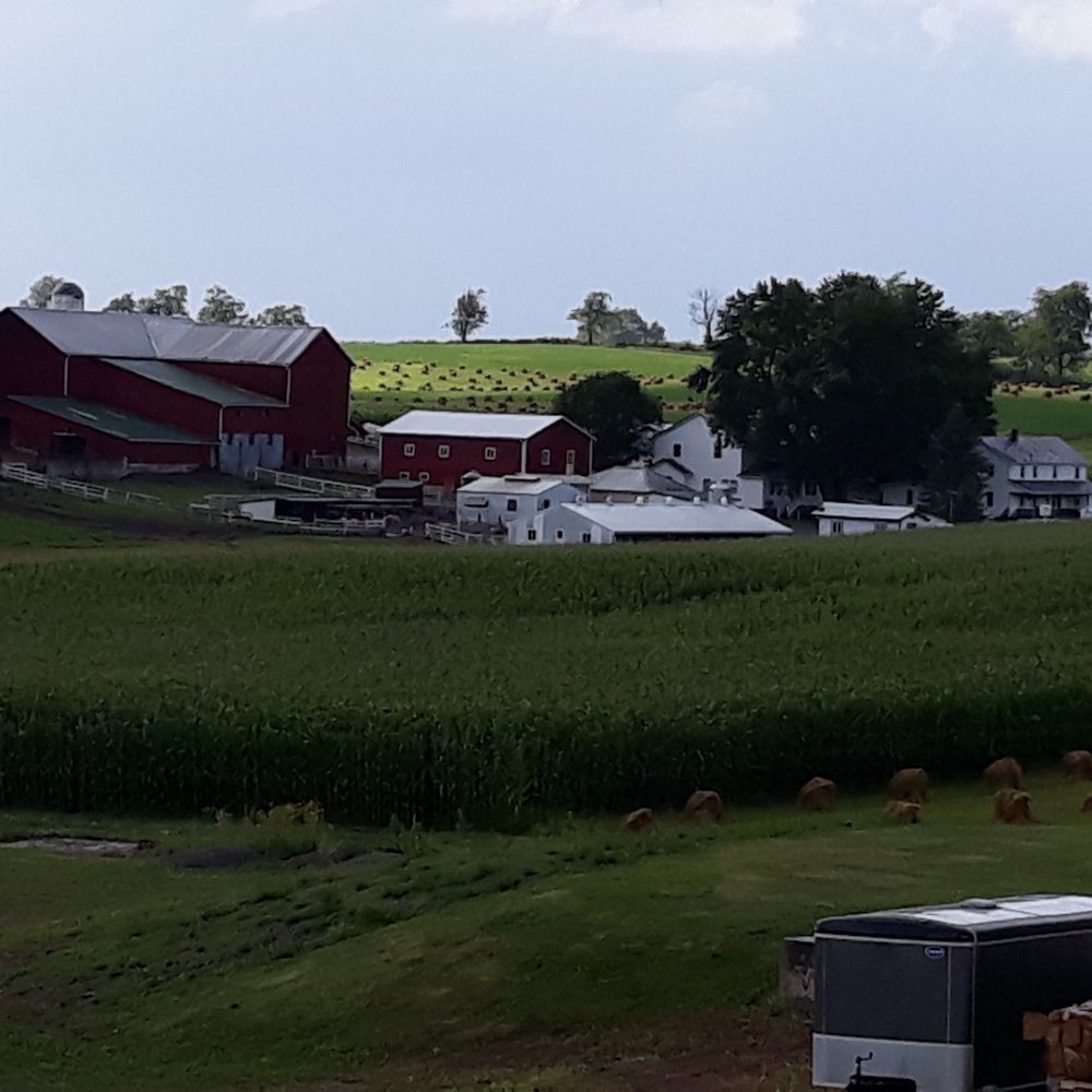 Heini's Cheese Chalet - Cheese Shops Near Me - Millersburg, Ohio Heini's Cheese Chalet - Cheese Shops Near Me - Millersburg, Ohio