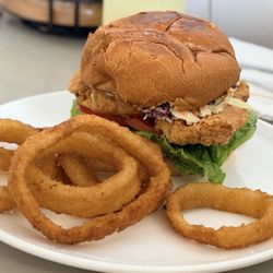 Grilled Chicken Sandwich & Onion Rings