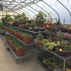 U & D Nursery - Huge variety!