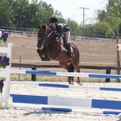 Gemini Equestrian - Trainer, Johanna Merager, competing locally at Leone Equestrian