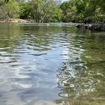 Barton Springs Pool - Swimming Pools Near Me - Austin, Texas