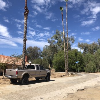 Sea West Tree Service - Palm trees - Tree Services Near Me Sea West Tree Service - Palm trees - Tree Services Near Me