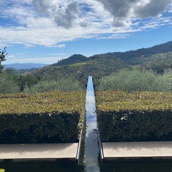 Promontory - Champagne view - Wineries Near Me - Oakville, California