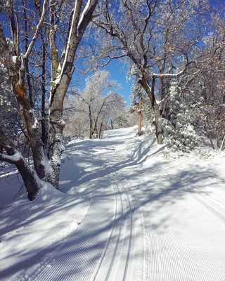 Rim Nordic XC Ski Area & Mountain Bike Park by null