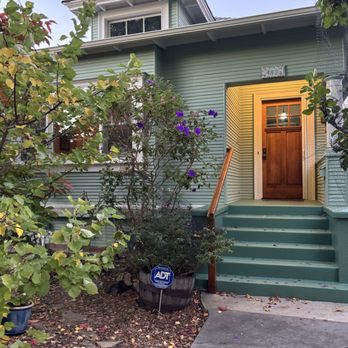 Aurora Painting and Decorating - Conscientious with plants - Painters Near Me - Oakland, California